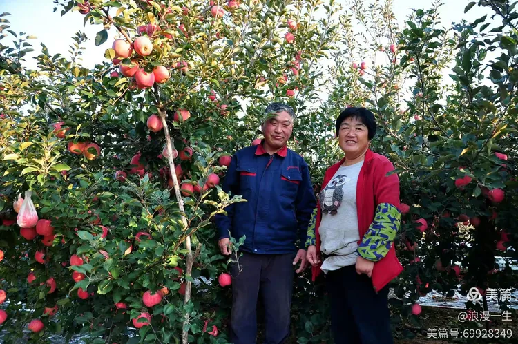 记实乡村果农发家致富奔小康！